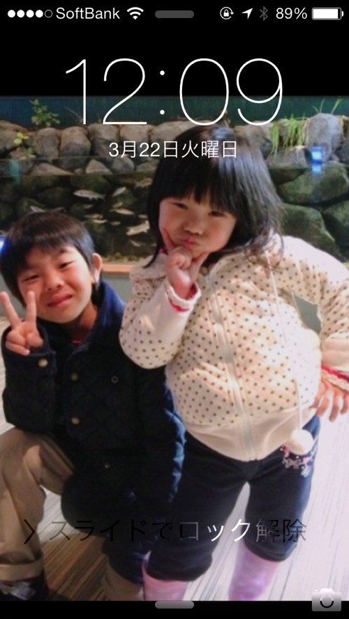 花の持ちを良く元気にするシール-エネルギー集束シール7