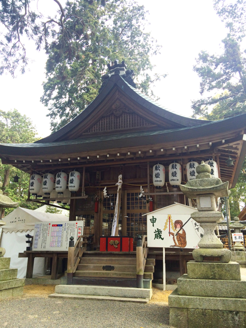 ホツマツタヱ_ヲシテ文字で治療1