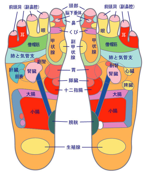 発熱の際に足裏にペパーミント