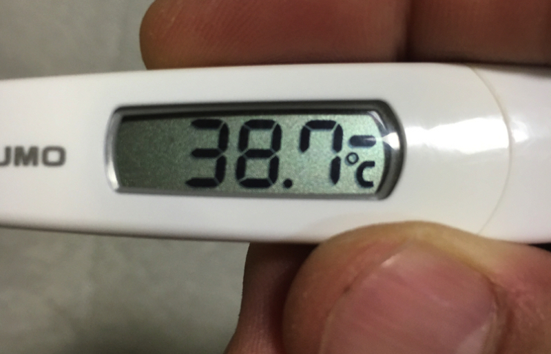 子供の高熱の際の対処と家庭療法_介護や自宅療養にも役立つレイキヒーリング1