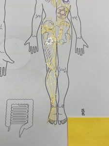 膝の激痛を解消