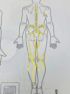 写し身カルテに描いた型霊